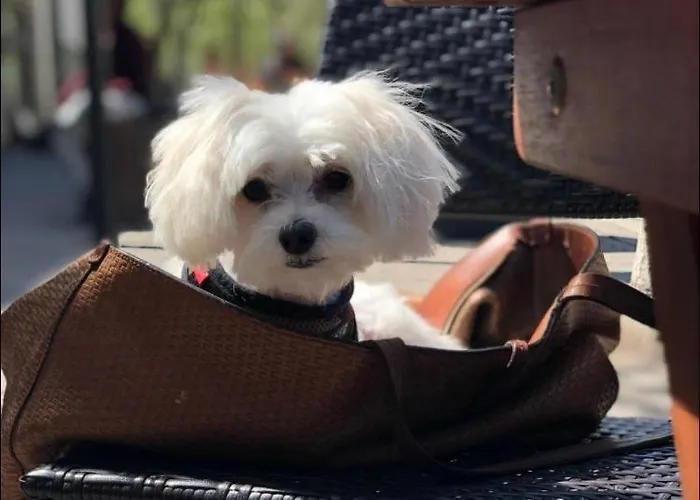 Hanza Tower Sunny 24 & Jacussi & Pool דירה